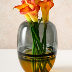 8in Tall Dual Tone Amber and Smoke Statement Glass Vase
