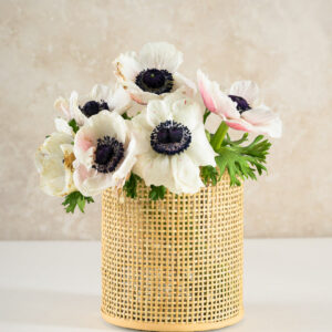6in Tall Cane Woven Glass Cylinder