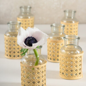 5in Tall Cane Woven Glass Bottle Vase, Set of 6