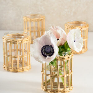 4.5in Tall Cane Woven Short Glass Cylinder, Set of 4