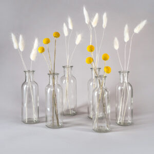 6.5in Tall Clear Glass Bottle Bud Vase, Set of 6
