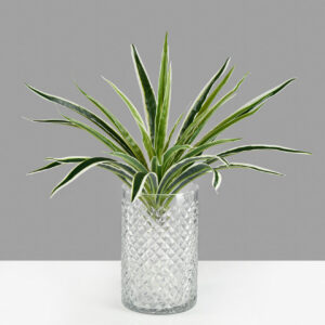 6in Tall Diamond Cut Glass Round Vase