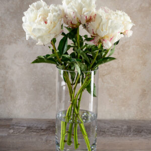 Cylinder Glass Vase