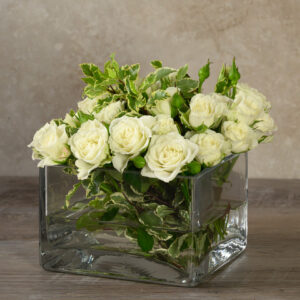 6in Long Low Cube Glass Bowl Vase