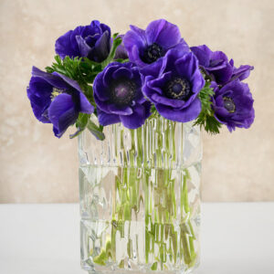 Rectangular Crystal Look Glass Vase