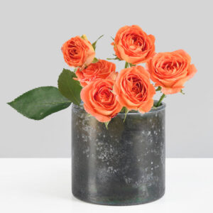 4 1/8in Tall Bronze Glass Votive Holder