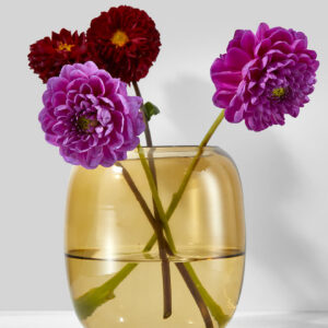 5in Dark Amber Capsule Glass Vase