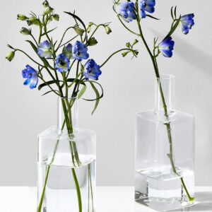 6in Tall Square Bottle Bud Glass Vase, Set of 2