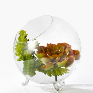 6in Wide Greenhouse Glass Bowl