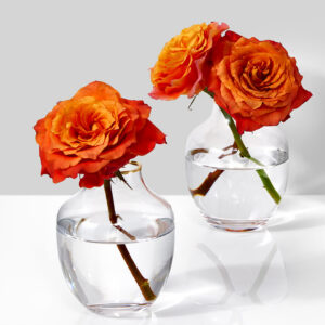 5in Tall Gold Rim Belly Glass Vase, Small Mouth