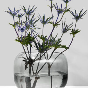 5.5in Tall Cool Grey Glass Square Fishbowl Vase