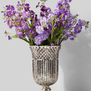 Antique Silver Mercury Glass Pedestal and Compote Vase