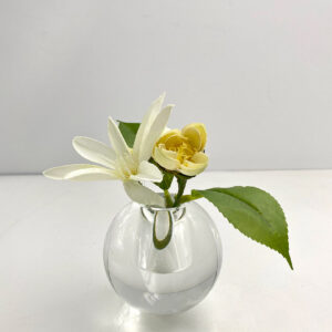 3in Wide Crystal Ball Glass Vase