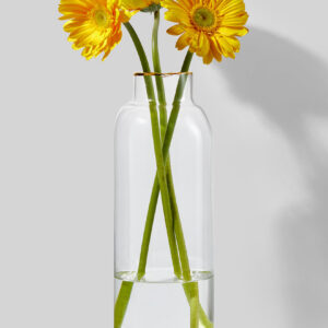 11.5in Tall Gold Rim Glass Vase, Small Mouth